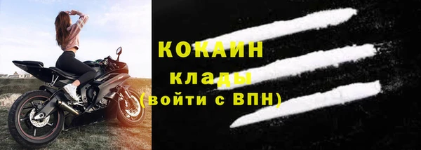 спиды Алзамай