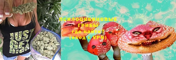 мяу мяу мука Алексеевка