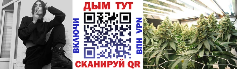 Марихуана Amnesia  купить  цена  Игарка 